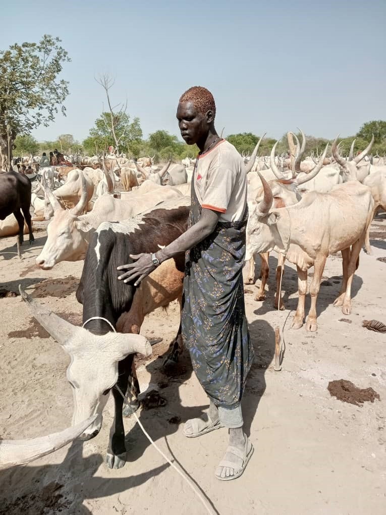 Research: Strategies to Increase Mass Drug Administration (MDA) Coverage Among Pastoralists